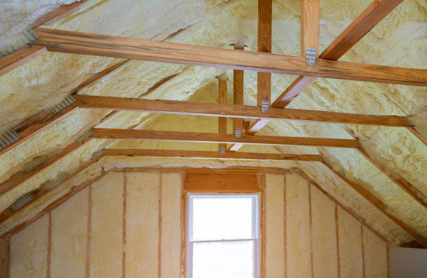Best Spray Foam Insulation  in Ranlo, NC