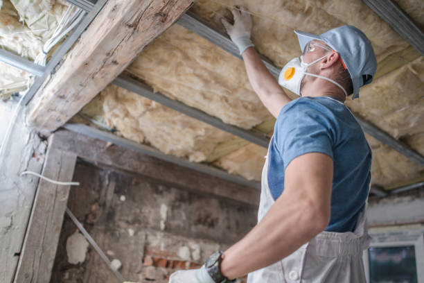 Best Cellulose Insulation  in Ranlo, NC