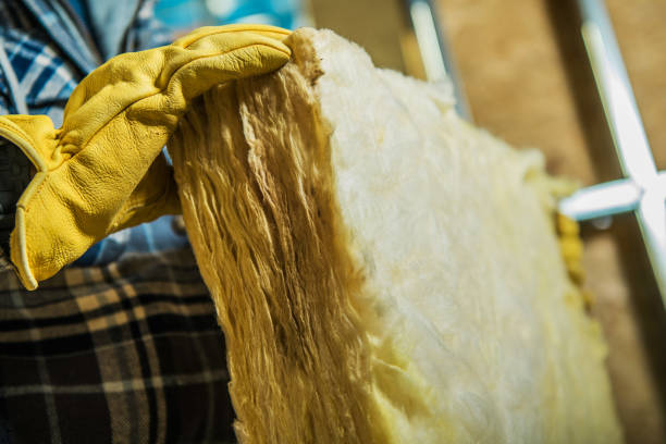 Best Insulation Contractor Near Me  in Ranlo, NC