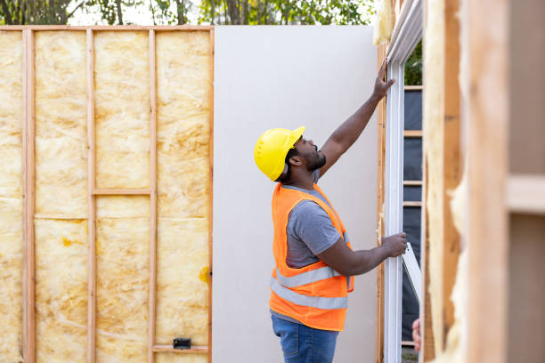 Best Wall Insulation Contractor  in Ranlo, NC