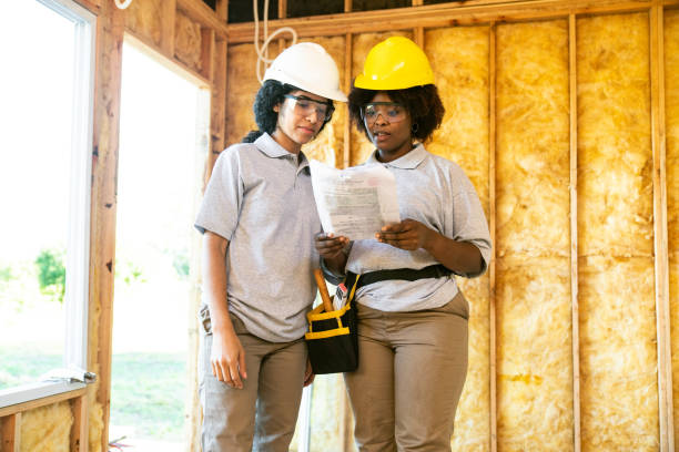 Best Local Insulation Services  in Ranlo, NC