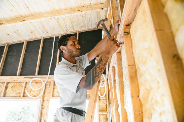 Best Home Insulation Services  in Ranlo, NC