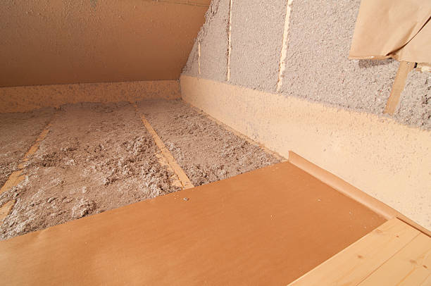 Best Insulation Removal  in Ranlo, NC
