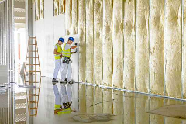 Best Garage Insulation Installation  in Ranlo, NC